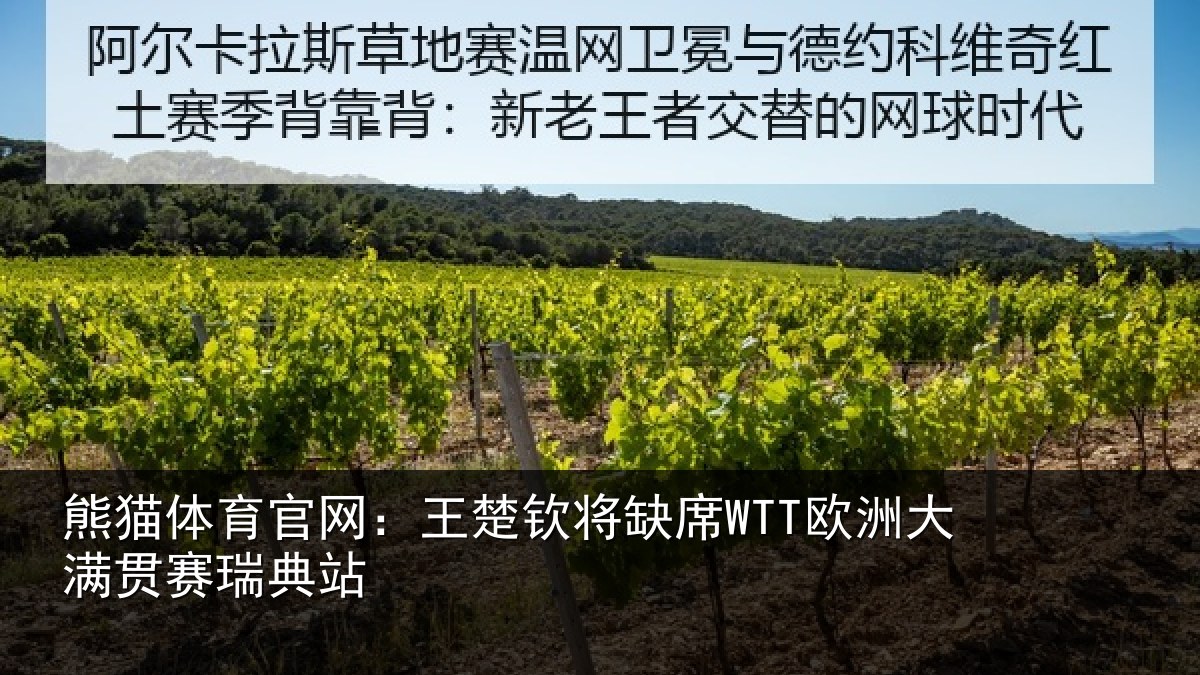熊猫体育官网:王楚钦将缺席WTT欧洲大满贯赛瑞典站